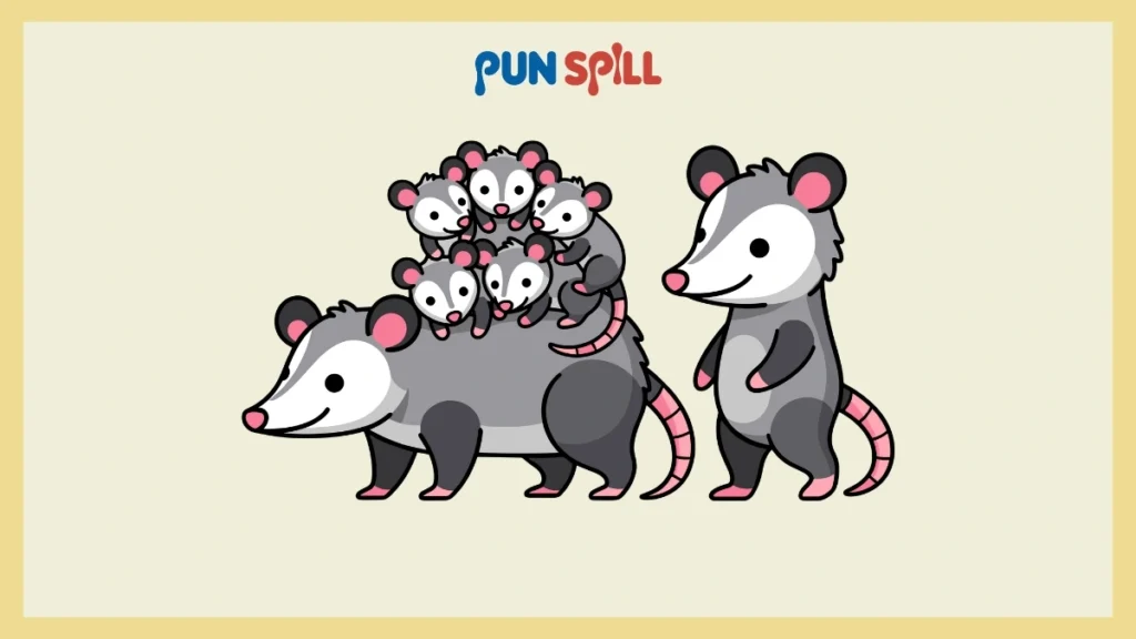 Short Opossum Captions for Instagram