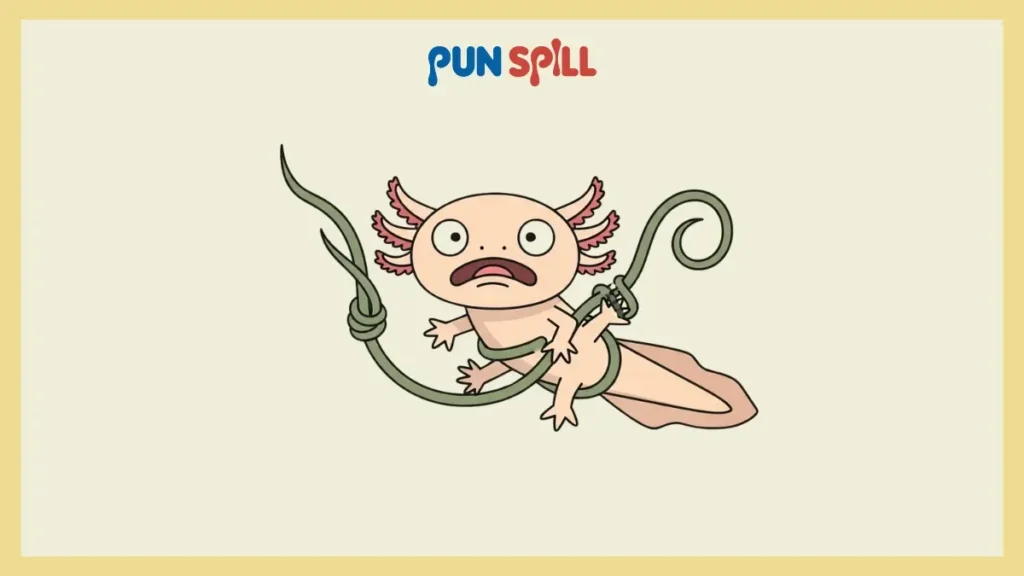 Aquarium Jokes Because Glass Boxes Are Funny