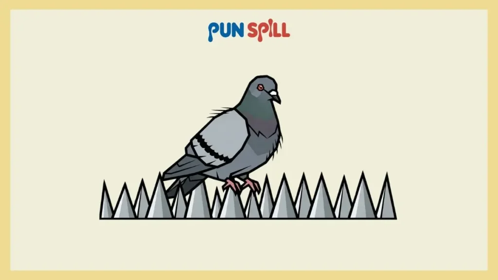 Funny Pigeon Names for Pets