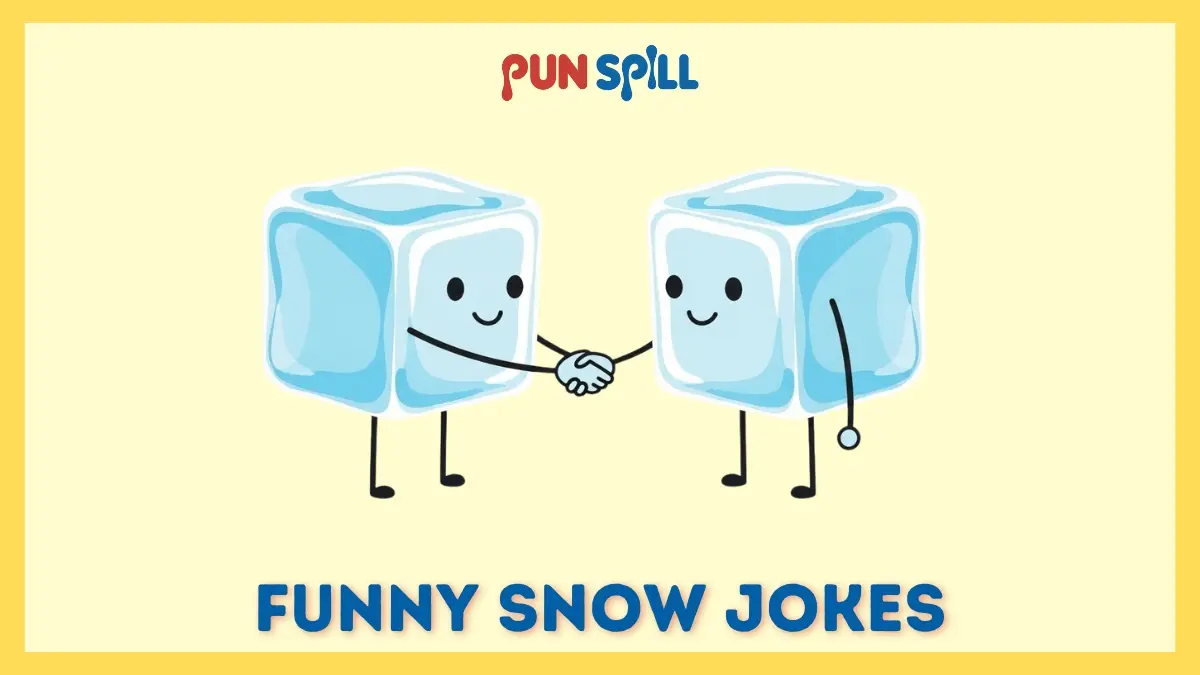 Funny snow jokes