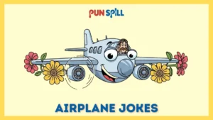 High-Altitude Airplane Jokes That Crash In Water Smoothly