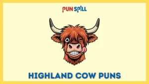 Hairy Highland Cow Puns That Are Udderly Ridiculous