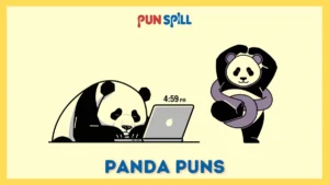Panda puns