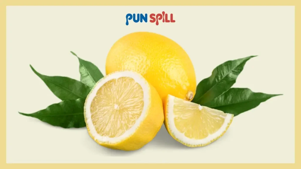 Mildly Amusing Lemon Puns for Kids and Cartoons