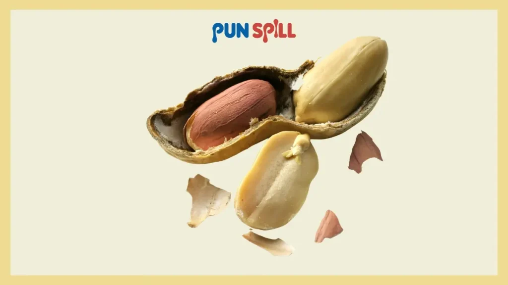 The Best Shucked Peanut Jokes One-Liners You Missed