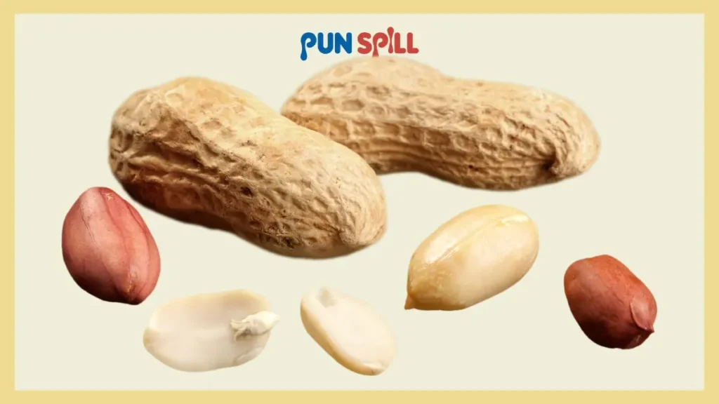 The Bitter End Of Our Peanut Jokes Collection