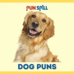 150+ Dog Puns That Will Honestly Just Bark Up the Wrong Tree