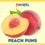 101+ Peach Puns That Will Make You Regret Your Life Choices