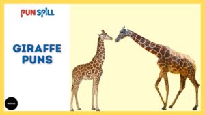 Giraffe puns