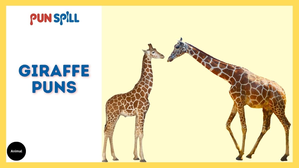 Giraffe puns